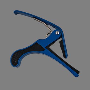 Dolphin Open Box Blue Capo