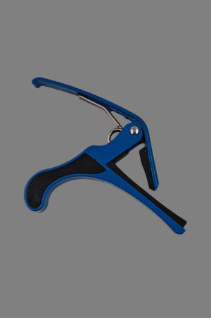 Dolphin Open Box Blue Capo