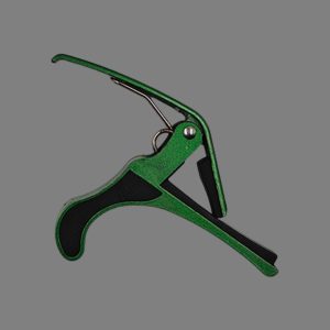 Dolphin Open Box Green Capo