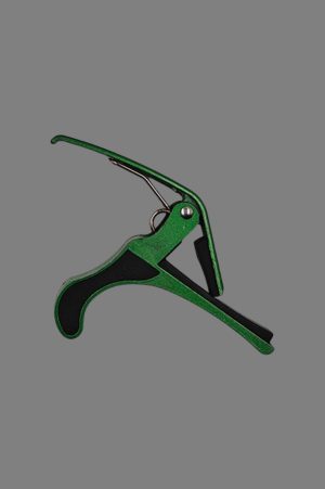 Dolphin Open Box Green Capo